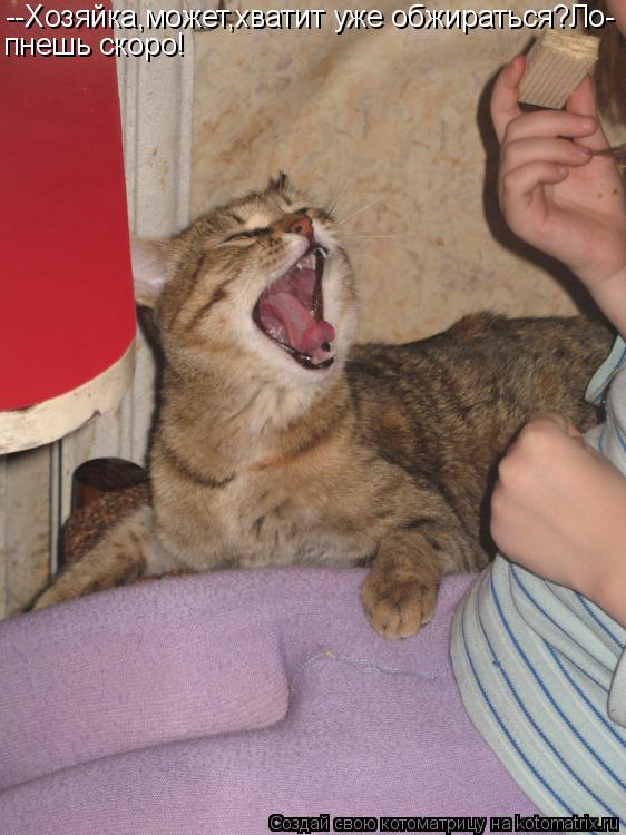 Котоматрица: --Хозяйка,может,хватит уже обжираться?Ло- пнешь скоро!