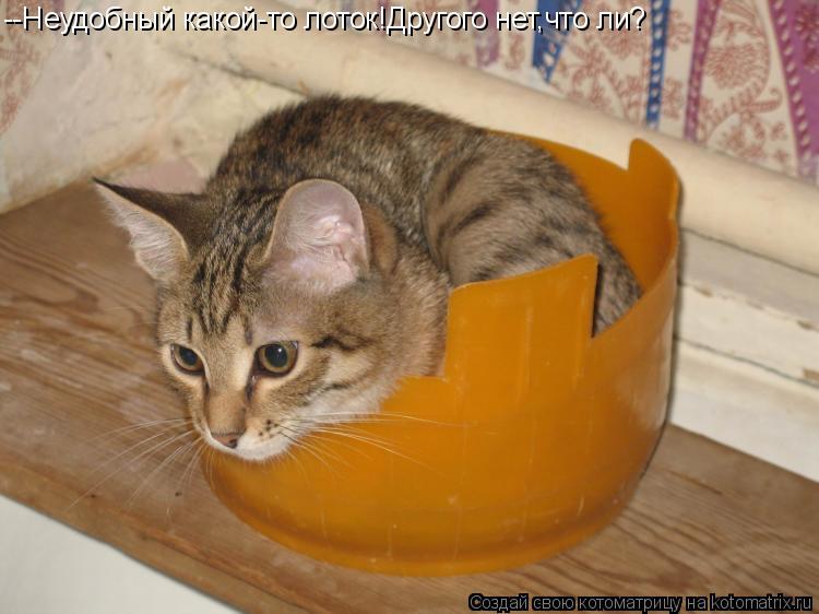 Котоматрица: --Неудобный какой-то лоток!Другого нет,что ли?