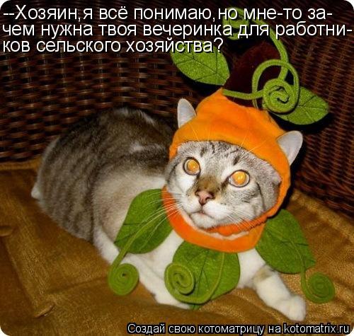 Котоматрица: --Хозяин,я всё понимаю,но мне-то за- чем нужна твоя вечеринка для работни- ков сельского хозяйства?