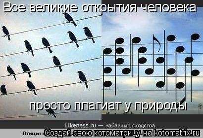 Котоматрица: Все великие открытия человека просто плагиат у природы