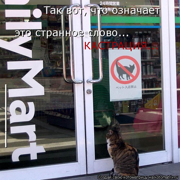 Котоматрица: ____ Так вот, что означает это странное слово... КАСТРАЦИЯ...