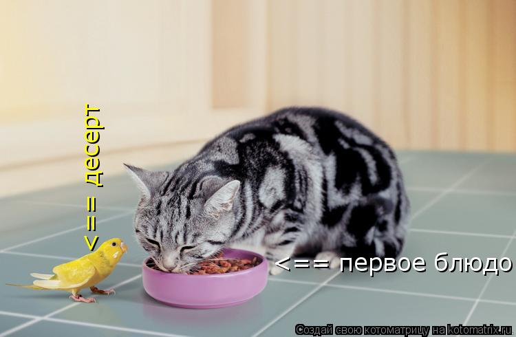 Котоматрица: <== первое блюдо <== десерт