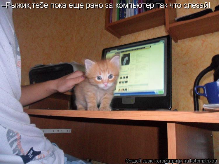 Котоматрица: --Рыжик,тебе пока ещё рано за компьютер,так что слезай!