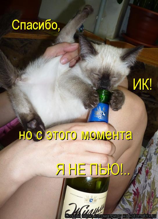 Котоматрица: Спасибо, ИК! но с этого момента Я НЕ ПЬЮ!..