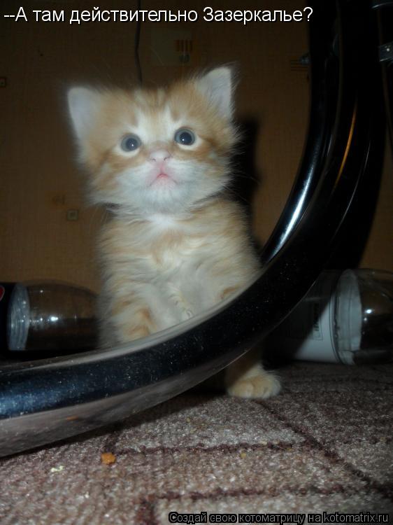 Котоматрица: --А там действительно Зазеркалье?