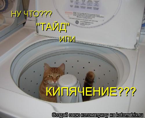Котоматрица: НУ ЧТО??? "ТАЙД" ИЛИ КИПЯЧЕНИЕ???
