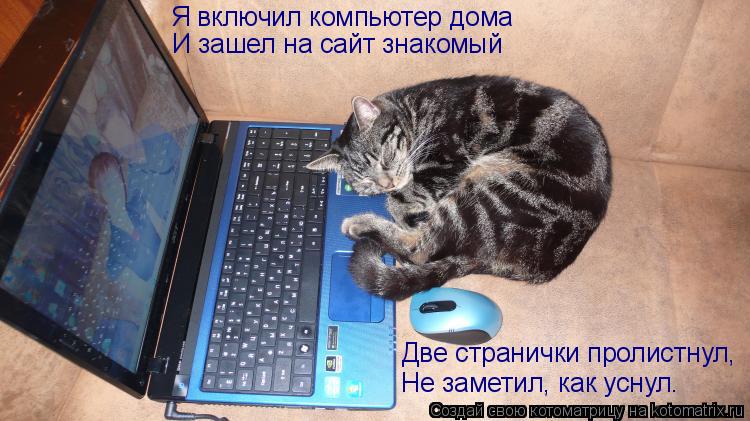 Котоматрица: Я включил компьютер дома И зашел на сайт знакомый Две странички пролистнул, Не заметил, как уснул.