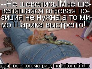 Котоматрица: --Не шевелись!Мне ше- велящаяся огневая по- зиция не нужна,а то ми- мо Шарика выстрелю!
