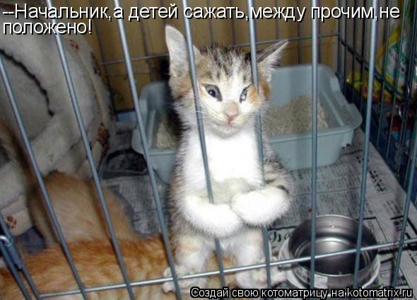 Котоматрица: --Начальник,а детей сажать,между прочим,не положено!