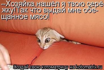 Котоматрица: --Хозяйка,нашёл я твою серё- жку!Так что выдай мне обе- щанное мясо!