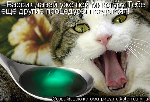 Котоматрица: --Барсик,давай уже пей микстуру!Тебе ещё другие процедуры предстоят!