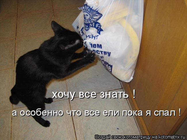 Котоматрица: хочу все знать ! а особенно что все ели пока я спал !