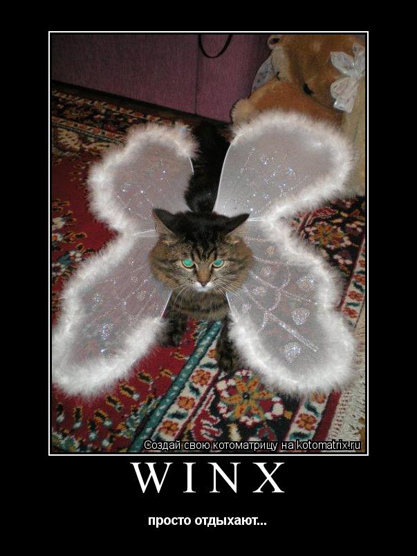 Котоматрица: WINX просто отдыхают...