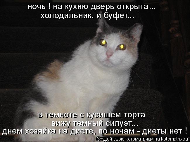 ночь ! на кухню дверь открыта... в темноте с кусищем торта вижу темный силуэт... днем хозяйка на диет... Котоматрица: ночь ! на кухню дверь открыта... в темноте с кусищем торта вижу темный силуэт... днем хозяйка на диете, по ночам - диеты нет ! холодильник. и буфе