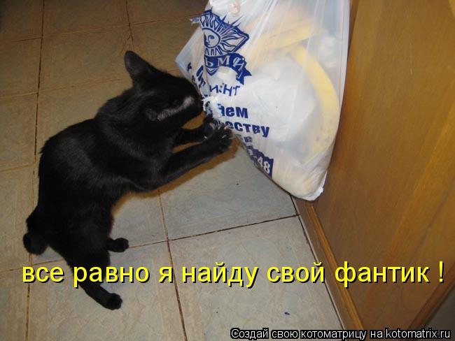 Котоматрица: все равно я найду свой фантик !