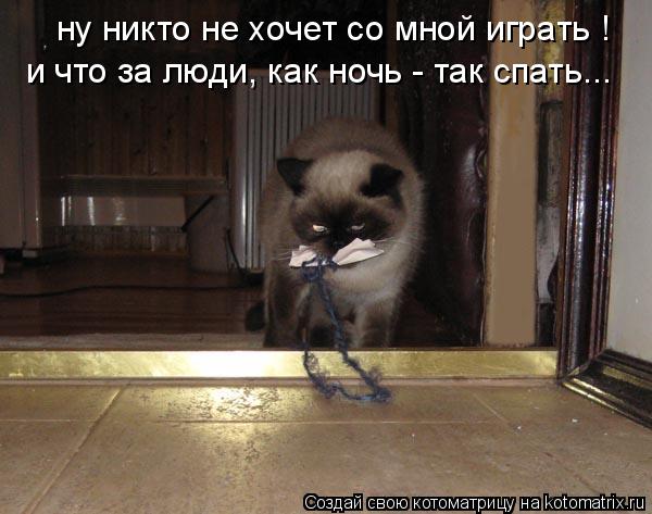 Котоматрица: ну никто не хочет со мной играть ! и что за люди, как ночь - так спать...