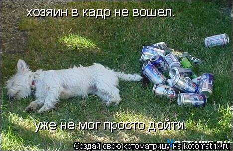Котоматрица: хозяин в кадр не вошел. уже не мог просто дойти.