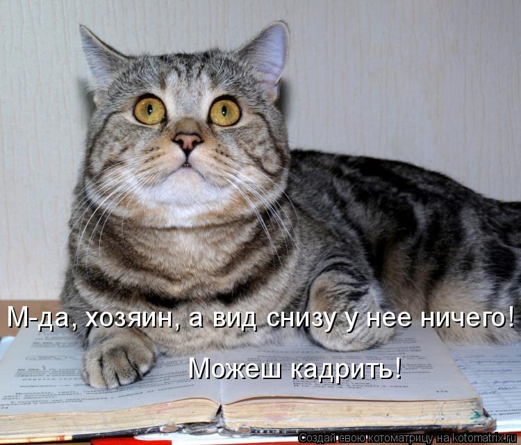 М-да, хозяин, а вид снизу у нее ничего! Можеш кадрить!... Котоматрица: М-да, хозяин, а вид снизу у нее ничего! Можеш кадрить!