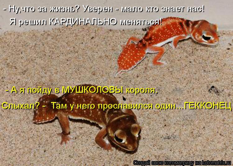 - Ну,что за жизнь? Уверен - мало кто знает нас! Я решил КАРДИНАЛЬНО меняться! - А я пойду в МУШКОЛОВЫ... Котоматрица: - Ну,что за жизнь? Уверен - мало кто знает нас! Я решил КАРДИНАЛЬНО меняться! - А я пойду в МУШКОЛОВЫ короля. Слыхал? - Там у него прославился од