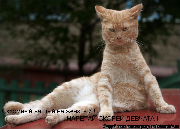 Котоматрица: Скромный наглый не женатый ! НАЛЕТАЙ СКОРЕЙ ДЕВЧАТА !