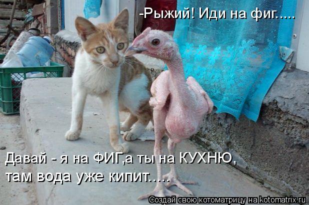 -Рыжий! Иди на фиг..... Давай - я на ФИГ,а ты на КУХНЮ, там вода уже кипит........ Котоматрица: -Рыжий! Иди на фиг..... Давай - я на ФИГ,а ты на КУХНЮ, там вода уже кипит.....