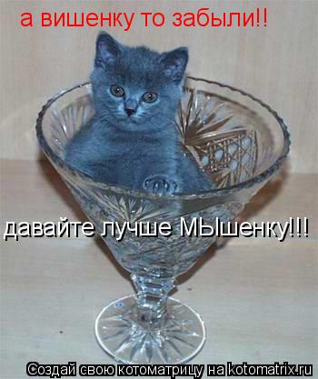 Котоматрица: а вишенку то забыли!! давайте лучше МЫшенку!!!