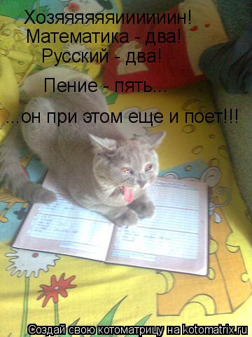 Котоматрица: Хозяяяяяяиииииин! Математика - два! Русский - два! Пение - пять... ...он при этом еще и поет!!!