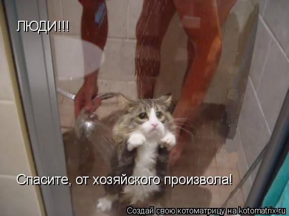 Котоматрица: ЛЮДИ!!! Спасите, от хозяйского произвола!