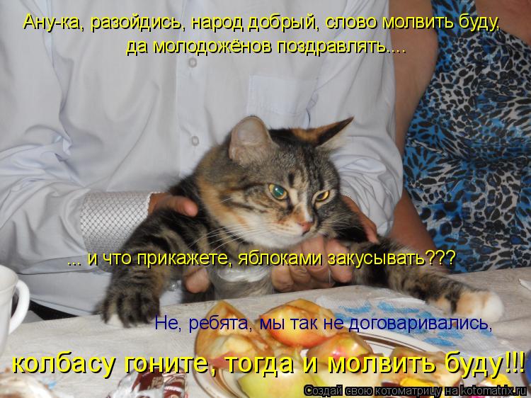 Котоматрица: Ану-ка, разойдись, народ добрый, слово молвить буду,  да молодожёнов поздравлять....  ... и что прикажете, яблоками закусывать??? Не, ребята, мы та