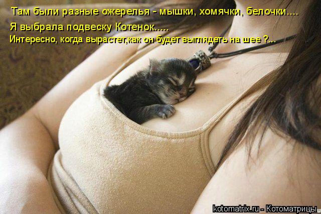 Котоматрица: Там были разные ожерелья - мышки, хомячки, белочки.... Я выбрала подвеску Котенок..... Интересно, когда вырастет,как он будет выглядеть на шее ?..