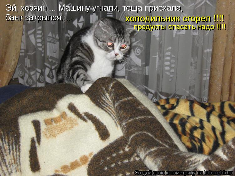 Котоматрица: Эй, хозяин ... Машину угнали, теща приехала, банк закрылся..... холодильник сгорел !!!! продукты спасать надо !!!!