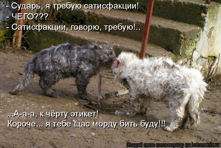 - Сударь, я требую сатисфакции! - ЧЕГО??? - Сатисфакции, говорю, требую!.. ...А-а-а, к чёрту этикет! ... Котоматрица: - Сударь, я требую сатисфакции! - ЧЕГО??? - Сатисфакции, говорю, требую!.. ...А-а-а, к чёрту этикет! Короче... я тебе щас морду бить буду!!!