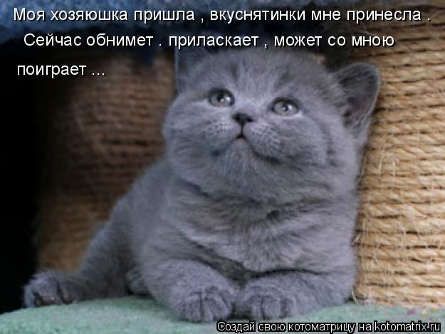 Котоматрица: Моя хозяюшка пришла , вкуснятинки мне принесла . Сейчас обнимет . приласкает , может со мною поиграет ...