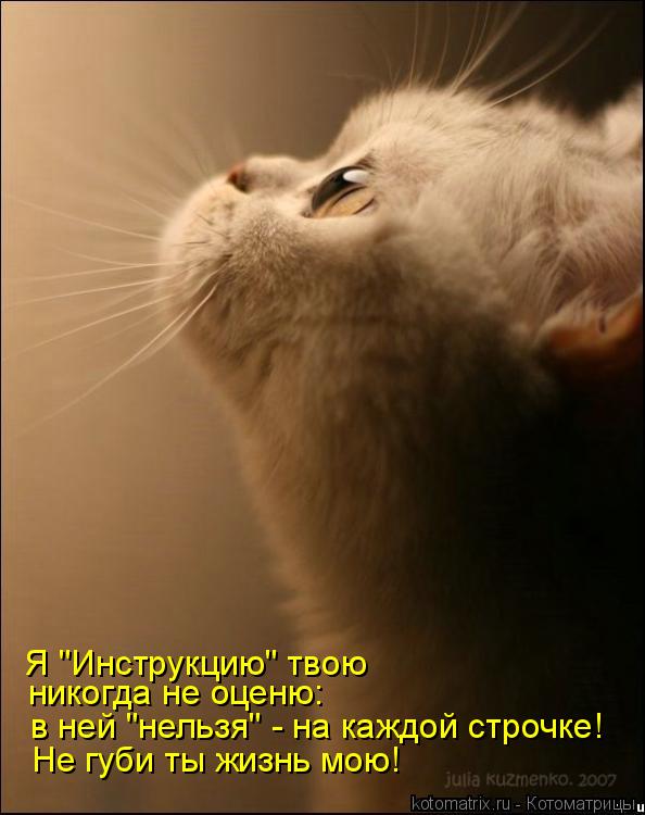 Я "Инструкцию" твою никогда не оценю: в ней "нельзя" - на каждой строчке! Не губи ты жизнь мою!... Котоматрица: Я "Инструкцию" твою никогда не оценю: в ней "нельзя" - на каждой строчке! Не губи ты жизнь мою!