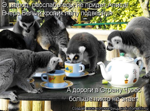 Котоматрица: Э, народ, расслабьтесь, не придет Алиса! Вчера Белый кролик лапу подвернул А дороги в Страну Чусес  больше никто не знает.
