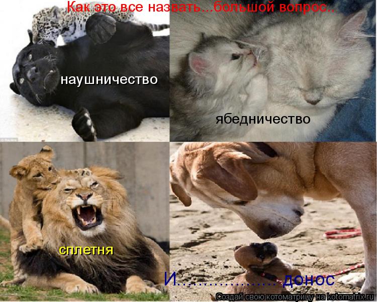 Котоматрица: Как это все назвать...большой вопрос.. наушничество ябедничество сплетня И................... донос
