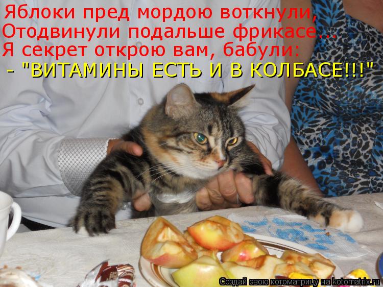 Яблоки пред мордою воткнули, Отодвинули подальше фрикасе... Я секрет открою вам, бабули: - "ВИТАМИНЫ... Котоматрица: Яблоки пред мордою воткнули, Отодвинули подальше фрикасе... Я секрет открою вам, бабули: - "ВИТАМИНЫ ЕСТЬ И В КОЛБАСЕ!!!"
