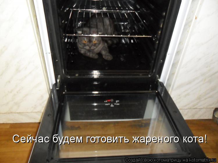 Котоматрица: Сейчас будем готовить жареного кота!