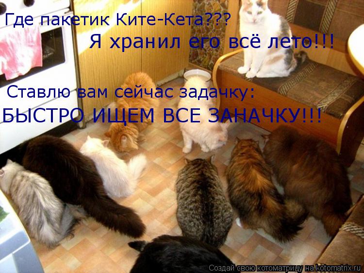 Котоматрица: Где пакетик Ките-Кета???  Я хранил его всё лето!!! Ставлю вам сейчас задачку: БЫСТРО ИЩЕМ ВСЕ ЗАНАЧКУ!!!