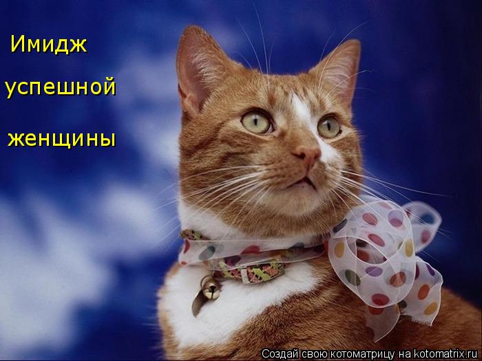 Имидж успешной женщины... Котоматрица: Имидж успешной женщины