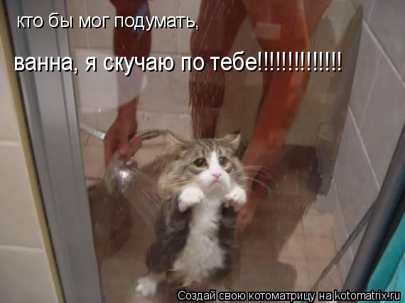 кто бы мог подумать, ванна, я скучаю по тебе!!!!!!!!!!!!!!... Котоматрица: кто бы мог подумать, ванна, я скучаю по тебе!!!!!!!!!!!!!!