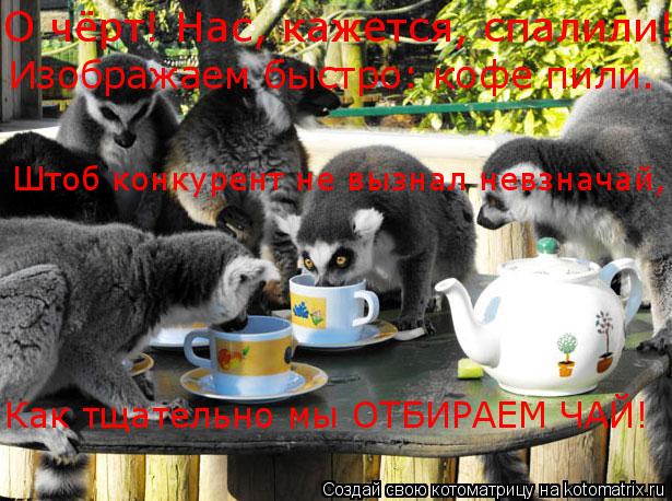 О чёрт! Нас, кажется, спалили! Изображаем быстро: кофе пили. Штоб конкурент не вызнал невзначай, Как... Котоматрица: О чёрт! Нас, кажется, спалили! Изображаем быстро: кофе пили. Штоб конкурент не вызнал невзначай, Как тщательно мы ОТБИРАЕМ ЧАЙ!