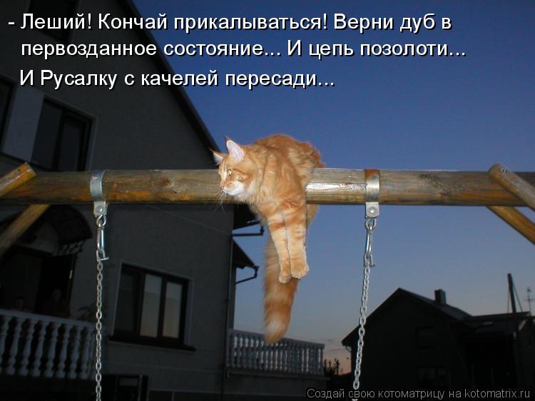 http://kotomatrix.ru/images/lolz/2011/09/07/987575.jpg