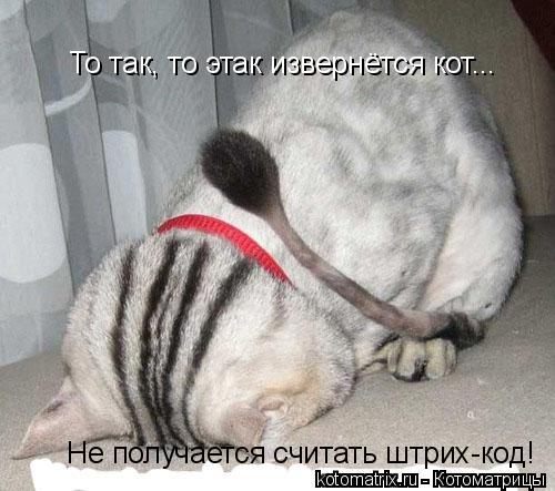То так, то этак извернётся кот... Не получается считать штрих-код!... Котоматрица: То так, то этак извернётся кот... Не получается считать штрих-код!