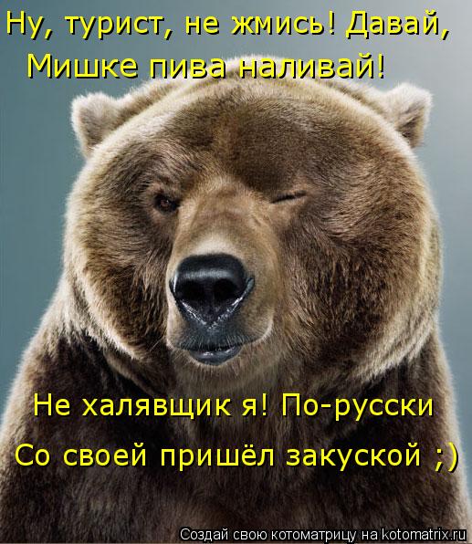 Ну, турист, не жмись! Давай, Мишке пива наливай! Не халявщик я! По-русски Со своей пришёл закуской ;)... Котоматрица: Ну, турист, не жмись! Давай, Мишке пива наливай! Не халявщик я! По-русски Со своей пришёл закуской ;)