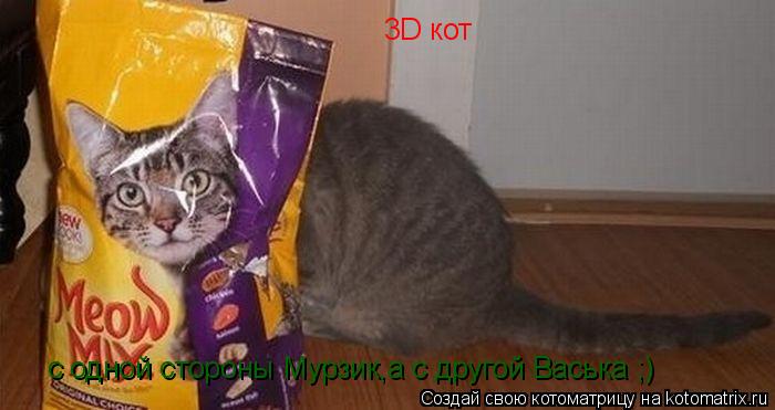 3D кот с одной стороны Мурзик,а с другой Васька ;)... Котоматрица: 3D кот с одной стороны Мурзик,а с другой Васька ;)