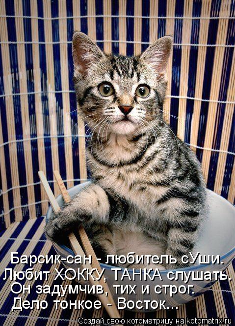 Барсик-сан - любитель сУши. Любит ХОККУ, ТАНКА слушать. Он задумчив, тих и строг. Дело тонкое - Восто... Котоматрица: Барсик-сан - любитель сУши. Любит ХОККУ, ТАНКА слушать. Он задумчив, тих и строг. Дело тонкое - Восток...