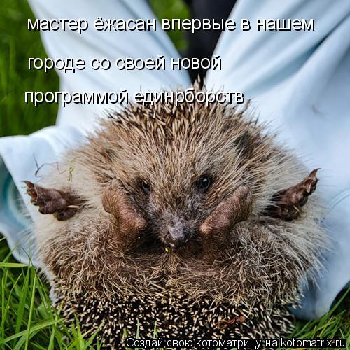мастер ёжасан впервые в нашем городе со своей новой программой единрборств... Котоматрица: мастер ёжасан впервые в нашем городе со своей новой программой единрборств