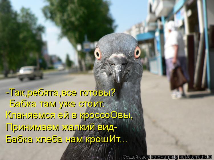 -Так,ребята,все готовы? Бабка там уже стоит. Кланяемся ей в кроссоОвы, Принимаем жалкий вид- Бабка хл... Котоматрица: -Так,ребята,все готовы? Бабка там уже стоит. Кланяемся ей в кроссоОвы, Принимаем жалкий вид- Бабка хлеба нам крошИт...