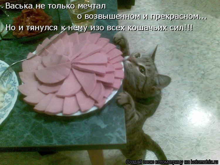 Васька не только мечтал о возвышенном и прекрасном... Но и тянулся к нему изо всех кошачьих сил!!!... Котоматрица: Васька не только мечтал о возвышенном и прекрасном... Но и тянулся к нему изо всех кошачьих сил!!!